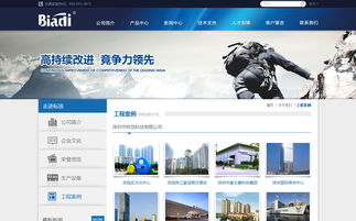 標(biāo)頂官方網(wǎng)站設(shè)計(jì)制作 成功案例 沙漠風(fēng)網(wǎng)站建設(shè)公司